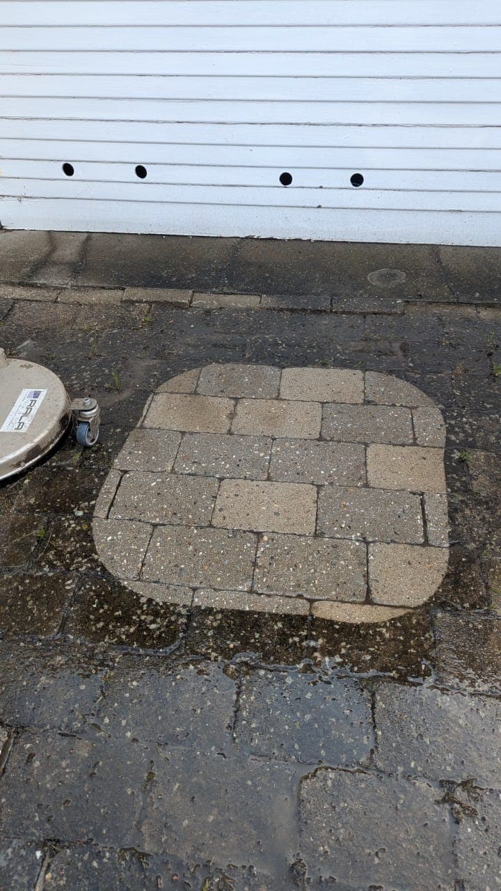 Fliserens i foråret: Hvad skal man være opmærksom på?