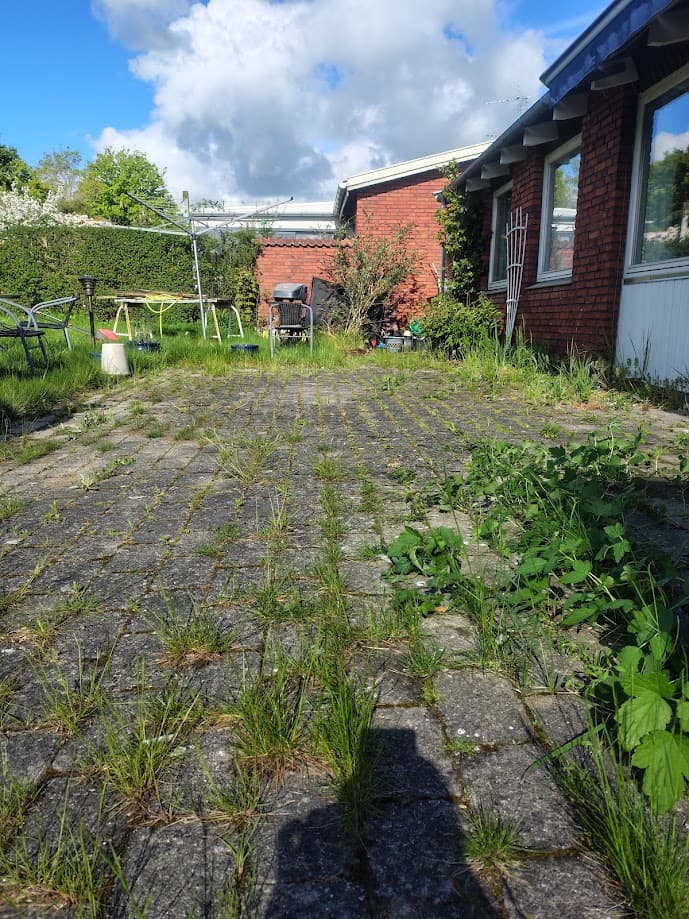 Før fliserens